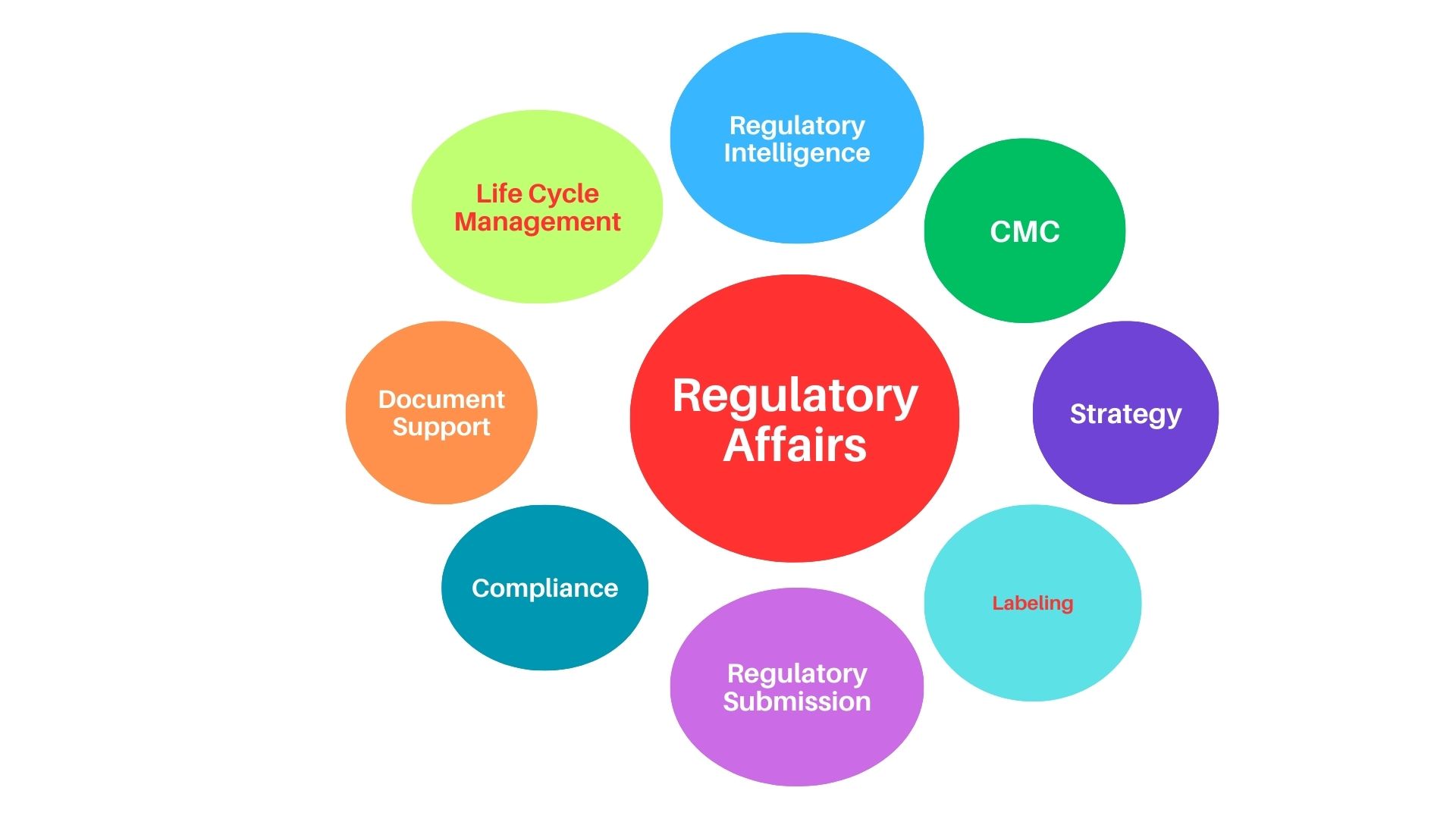 Regulatory Affairs and Its role in the Pharmaceutical Industry